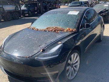 Авто Tesla Model 3 2019 № 8320745
