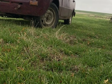 Авто ВАЗ 2101 1989 № 8322115