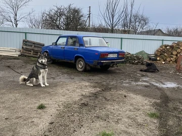 Авто ВАЗ 2105 1981 № 8324416