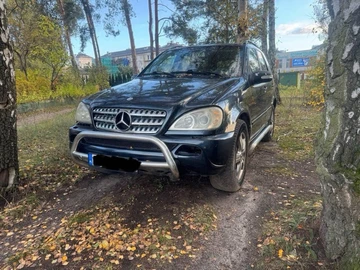Авто Mercedes Ml Серия 2002 № 8325307