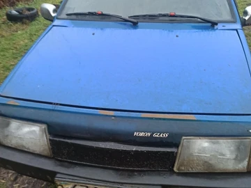 Авто ВАЗ 2109 1992 № 8339732