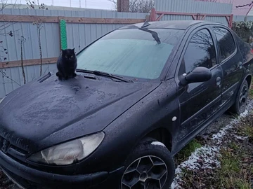 Авто Peugeot 206 2007 № 8353462
