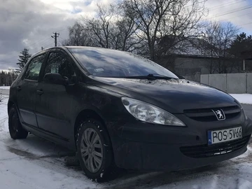 Авто Peugeot 307 2004 № 8354987