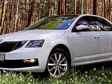 Авто Skoda Octavia 2018 № 8357902