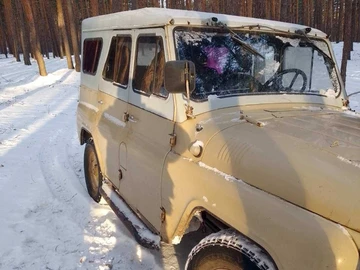 Авто УАЗ 31512 1995 № 8362601