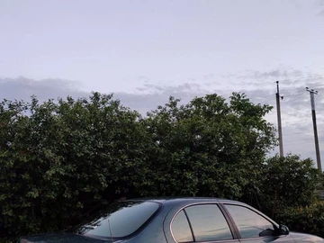 Авто Nissan Maxima 1996 № 8381255