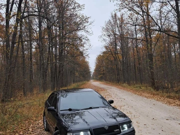 Авто Skoda Octavia 2008 № 8390638