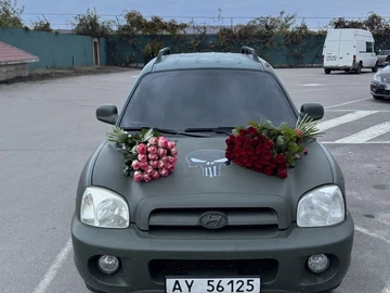 Авто Hyundai Santa Fe 2004 № 8392403