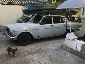 Авто ГАЗ 24-10 Волга 1988 № 8395731