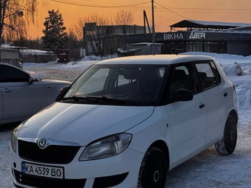 Авто Skoda Fabia 2011 № 8402921