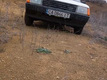 Авто ЗАЗ 1102 1990 № 8403052
