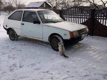 Авто ЗАЗ Таврия 1989 № 8403692