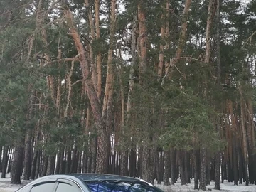 Авто Hyundai Sonata 2015 № 8406454