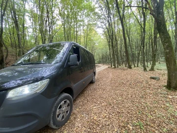 Авто Mercedes Sprinter 2020 № 8406833