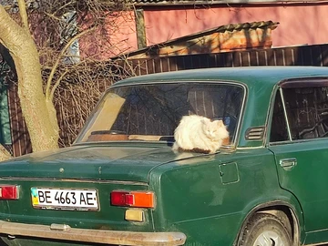 Авто ВАЗ 2101 1984 № 8421158