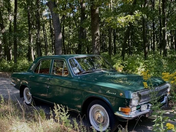 Авто ГАЗ 24 1981 № 8423772