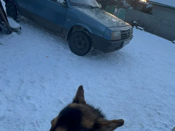 Авто ВАЗ 2108 1992 № 8429197