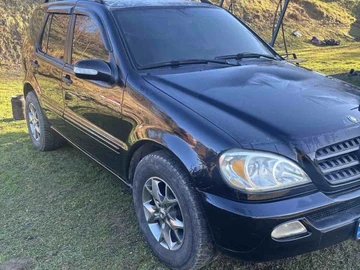 Авто Mercedes Ml Серия 2004 № 8440235
