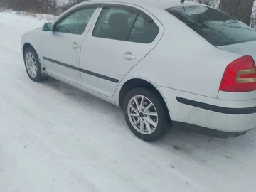 Авто Skoda Octavia 2008 № 8444341