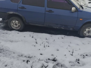 Авто ВАЗ 21099 2007 № 8445142