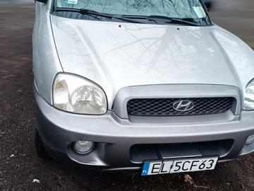 Авто Hyundai Santa Fe 2003 № 8446059