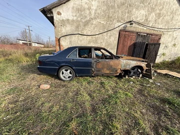 Авто Mercedes S Серия 1994 № 8447170