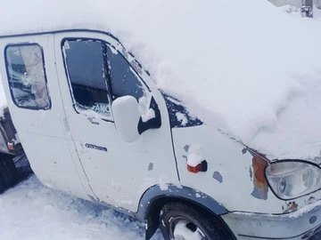 Авто ГАЗ 3302 Газель 2008 № 8447405