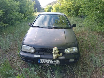 Авто Volkswagen Golf 2003 № 8448337
