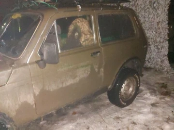 Авто ВАЗ 2121 1982 № 8450736