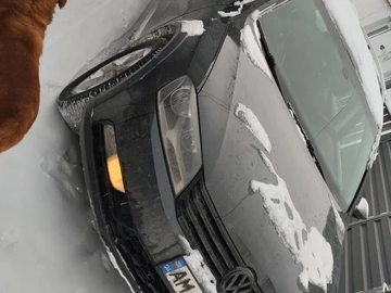 Авто Volkswagen Corrado 2012 № 8461391