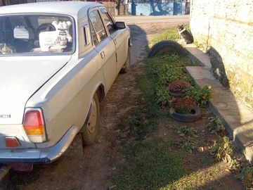 Авто ГАЗ 24-10 Волга 1989 № 8466513