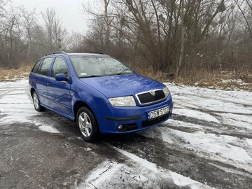 Авто Skoda Fabia 2005 № 8469810