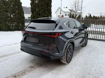 Авто Lexus Nx 2023 № 8472399