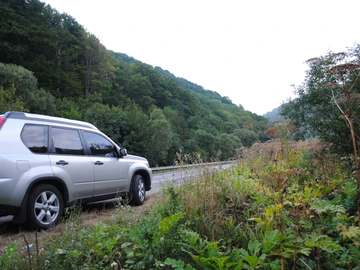 Авто Nissan X-Trail 2008 № 8480931