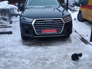 Авто Audi Q7 2017 № 8488148