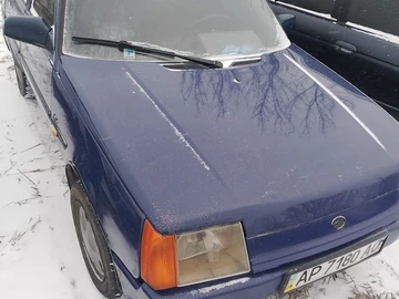 Авто ЗАЗ 1103 Slavuta 2009 № 8492443