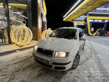 Авто Skoda Fabia 2005 № 8494899