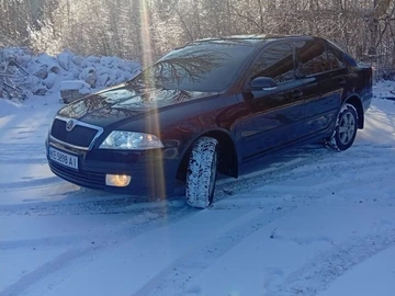 Авто Skoda Octavia 2008 № 8496432