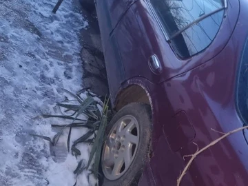 Авто Nissan Maxima 1995 № 8496458
