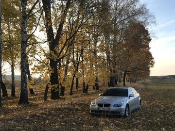 Авто BMW 5 Серия 2005 № 8498187