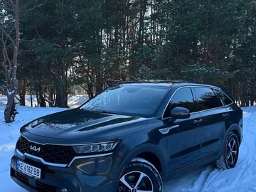 Авто KIA Sorento 2022 № 8501528