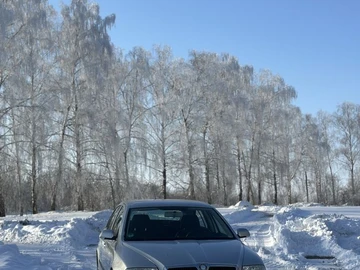 Авто Skoda Octavia 2004 № 8502273