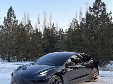Авто Tesla Model 3 2019 № 8502328