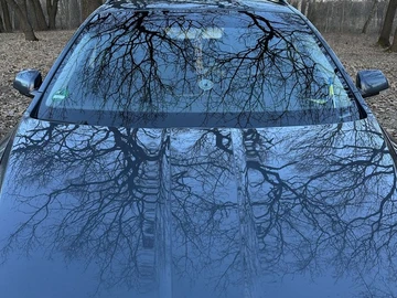 Авто Skoda Octavia 2008 № 8505801