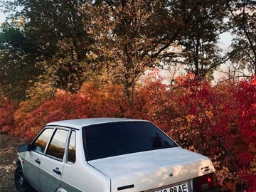 Авто ВАЗ 21099 2004 № 8508263
