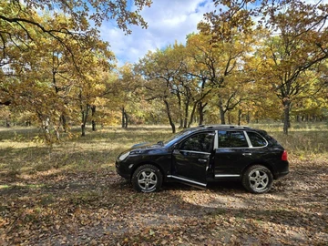 Авто Porsche Cayenne 2003 № 8511264
