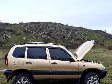 Авто Chevrolet Niva 2004 № 8525738