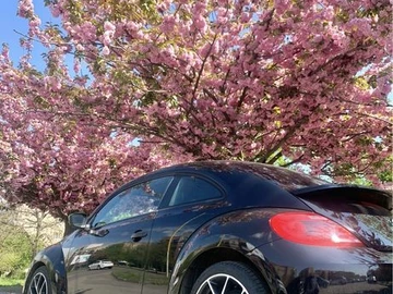 Авто Volkswagen Beetle 2015 № 8529171