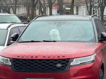 Авто Land Rover 109 2017 № 8531275