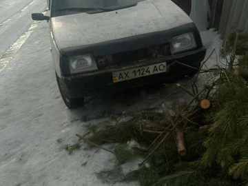 Авто ЗАЗ 1103 Slavuta 2004 № 8532370